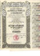 SOCIETE DES FORGES DE FRONCLES ET VRAINCOURT - ACTION DE 100 FRS - ANNEE 1924 - Industrial