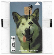 Spain - Telefónica - Alaskan Malamute Dog - P-129 - 05.1995, 100PTA, 6.100ex, NSB - Privatausgaben