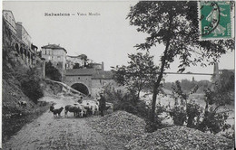 L'ISLE SUR TARN :Vieux Moulin - Le Berger Et Son Troupeau ( 1911) - Lisle Sur Tarn