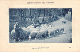 AGRICULTURE - Métier - BERGER Des Pyrénées - LL -  Carte Postale Ancienne - Veeteelt