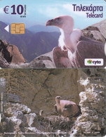 CYPRUS - Bird, Gyps Fulvus, Tirage 20000(released Only 1000 Pieces), 05/09, Used - Aigles & Rapaces Diurnes