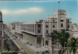 CARTOLINA  TRIPOLI,LIBIA,SCIARA OMAR EL MUHTAR,VIAGGIATA 1958 - Libia
