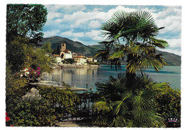 TI 6614  BRISSAGO (LAGO MAGGIORE) - Brissago