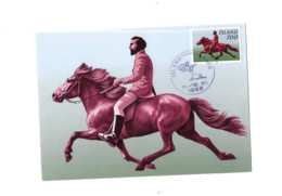 Cheval Islandais. - Cartes-maximum