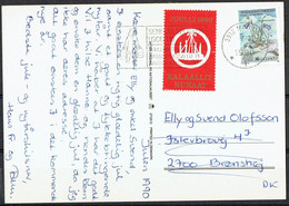 Greenland 1990. Post Card Sent To  Denmark.. - Groenland