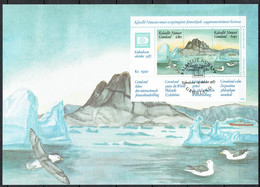 Greenland 1987.  Maxi Card. Michel Bl.1  Special Cancel.. - Cartes-Maximum (CM)