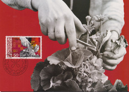 1982 Liechtenstein, MC 33 Mi:LI 803, Yt:LI 744, Zum:LI 742, Mensch Und Arbeit, Gartenbau - Storia Postale