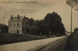 Roclenge // Vallee Du Geer // Avenue Des Coutures 1911 - Other & Unclassified