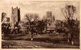 ANGLETERRE ELY CATHEDRAL FROM THE PARK - Other & Unclassified