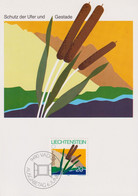 1983 Liechtenstein, MC 40 Mi:LI 824, Yt:LI 765, Zum:LI 763, Landschaftsgemälde Von Anton Ender, Steg-beim Stausee - Protection De L'environnement & Climat