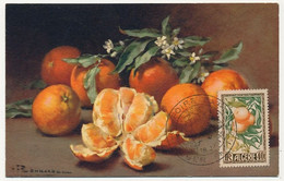 ALGERIE - Carte Maximum 40F Oranges Et Citrons N°281 - Obl Alger Foire Exposition 18 Juin 1960 - Maximumkarten