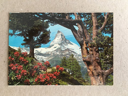 Switzerland Schweiz Suisse Svizzera - Liliput Postcard 106/75 Mm - Matterhorn Le Mont Cervin - Matt