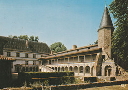 Bastie D Urfe   ....loire   Le Chateau - Châteaux