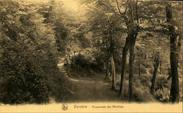 Belgique - Liège - Verviers - Promenade Des Recollets - Verviers