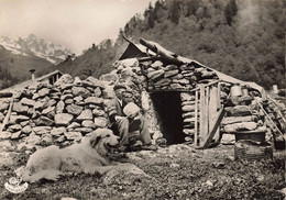 Les Pyrénées * Types Régionaux * Haute Montagne , Cabane De Berger * Métier Personnage * Chien Dog - Andere & Zonder Classificatie