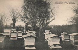 Larnay * Vue Sur Le Rucher * Près Poitiers * Ruches Abeilles Apiculteur Apiculture - Sonstige & Ohne Zuordnung