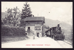 1910 Gelaufene AK: Bahnhof Gontenbach Wildpark Mit Dampflok. Mit Stabstempel LANGNAU (Zürich) - Langnau Am Albis 