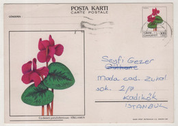 TURKEY,TURKEI,TURQUIE ,WITH,CYCLAMEN, ILLUSTRATION, ,POSTCARD - Briefe U. Dokumente