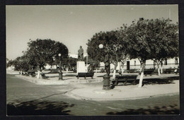 ILHA DE MOÇAMBIQUE (Moçambique - Mozambique) - Jardim Photo Postcard - Mozambique