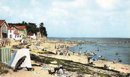 Noirmoutier * Le Vieil * Vue Sur La Plage - Noirmoutier