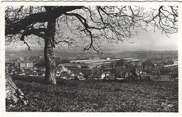 25  (Doubs) - SOCHAUX - Vue Générale Des Usines Peugeot - Sochaux