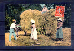 Au Foin. Manques En Bas à Gauche - Cultures