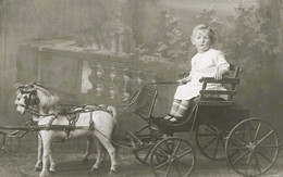 Jeux Et Jouets * Carte Photo * Attelage Chevaux Bois * Enfant Jeu Jouet - Jeux Et Jouets