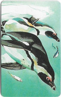 Namibia - Telecom Namibia - Penguins - Penguin #1, Solaic, 10$, 15.000ex, Used - Namibië