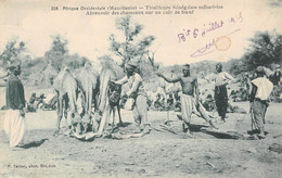 Afrique Occidentale - MAURITANIE - Tirailleurs Sénégalais Méharistes - Abreuvoir Des Chameaux Sur Un Cuir De Boeuf - Mauritanie