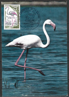 FRANCE. N°1634 Sur Carte Maximum De 1970. Flamant Rose. - Flamencos