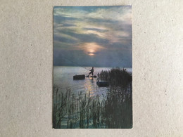 Delcampe - Romania Pescar In Delta Dunarii La Pescuit Pêcheur Sur L'eau Fisherman On The Water Fischer Auf Dem Wasser - Fischerei