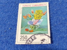 TÜRKEY--1987-80    250K      DAMGALI - Used Stamps