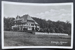 St. Chrischona/ Kaffeehalle Waldrain - Wald