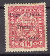 Italy Trento, Trentino Alto Adige 1918 Sassone#15 Mint Hinged - Trentino