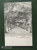 POSTCARD 1904 OLD POSTCARD PHOTOGRAPHIE R.VISSER, DÉPOSE CONGO Allee Des Cocotiers á Caijo Nº - Congo Francese