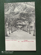 POSTCARD 1904 OLD POSTCARD PHOTOGRAPHIE R.VISSER, DÉPOSE CONGO Allee Des Cocotiers á Caijo Nº - Französisch-Kongo