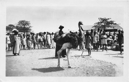 Afrique - BURKINA FASO - Bobo Dioulasso (A. O. F.) - Une Autruche Sur Le Marché - Burkina Faso