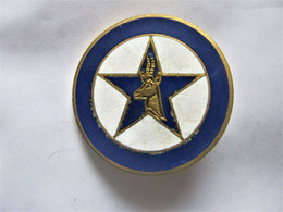 INSIGNE EMAILLE LEGION ETRANGERE 4° REI 5° COMPAGNIE PORTEE DRAGO PARIS - Armée De Terre