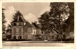 Chateau De Coppet, Vu Du Parc (92224) - Coppet