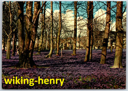 Delcampe - Husum - Krokusblüte Im Schloßgarten - Husum