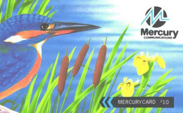 United Kingdom:Used Phonecard, Mercury Communications, 10 £, Bird, Kingfisher, Alcedo Atthis - [ 4] Mercury Communications & Paytelco