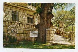 AK 114331 USA - Kansas - Council Grove - Post Office Oak Tree - Otros & Sin Clasificación