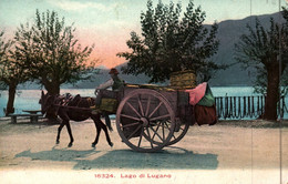 Lugano - Lago Di Lugano - Attelage - 1907 - Suisse Switzerland - Lugano