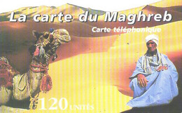 France:Used Phonecard, Maghreb, 120 Units, Camel - Unclassified