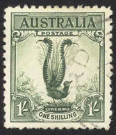 Australia Sc# 141 Used (b) 1932 1sh Green Male Lyrebird - Oblitérés