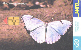 Uruguay:Used Phonecard, Antel, 20$, Butterfly, Morpho Catenarius - Uruguay