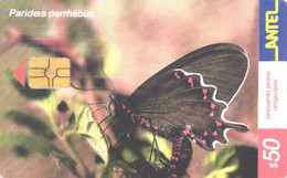 Uruguay:Used Phonecard, Antel, 20$, Butterfly, Parides Perrhebus - Uruguay