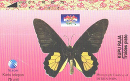 Indonesia:Used Phonecard, Telkom, 75 Units, Butterfly, Troides Plato - Indonesien