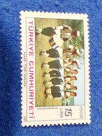 TÜRKEY--1970-80     15LİRA.       DAMGALI - Used Stamps