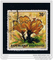CHAMPIGNONS - COB : 992 - 1980 O - Used Stamps